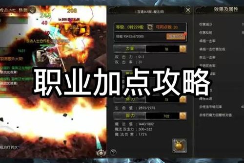 奇迹SF发布网：丰富私服资源与实用筛选功能助你快速找到心仪版本